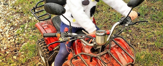 Прокат детского квадроцикла (дети с 6-ти лет)